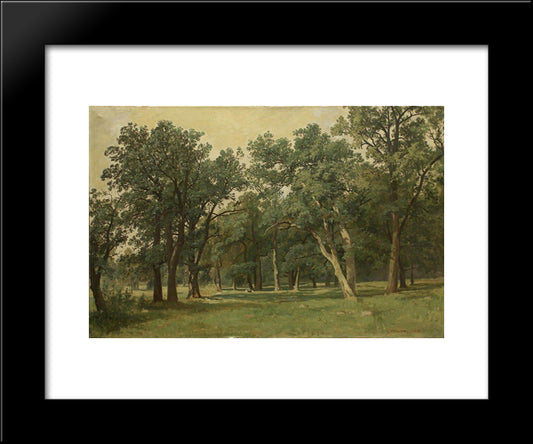 Forest Glade 20x24 Black Modern Wood Framed Art Print Poster by Shishkin, Ivan