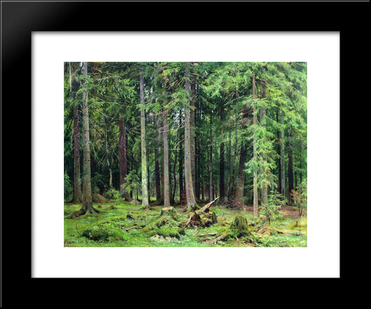 Forest In Mordvinovo 20x24 Black Modern Wood Framed Art Print Poster by Shishkin, Ivan