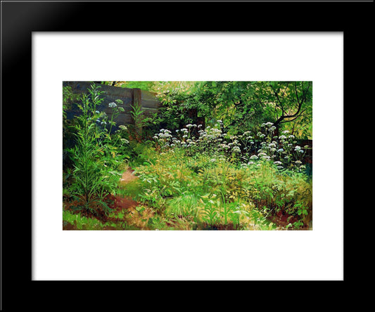 Goutweed-Grass. Pargolovo 20x24 Black Modern Wood Framed Art Print Poster by Shishkin, Ivan