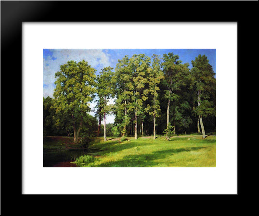 Grove By The Pond. Preobrazhenskoye 20x24 Black Modern Wood Framed Art Print Poster by Shishkin, Ivan
