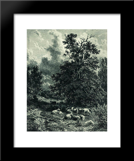 Herd Of Sheep On The Forest Edge 20x24 Black Modern Wood Framed Art Print Poster by Shishkin, Ivan