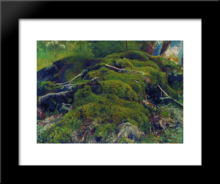 Moss. Roots 20x24 Black Modern Wood Framed Art Print Poster by Shishkin, Ivan