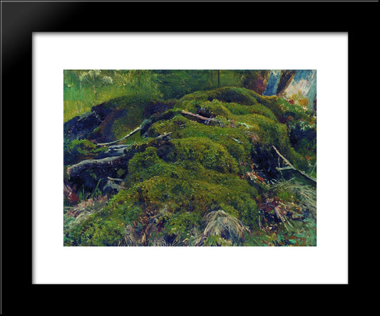 Moss. Roots 20x24 Black Modern Wood Framed Art Print Poster by Shishkin, Ivan