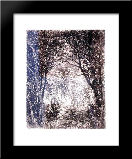 Not Identified 20x24 Black Modern Wood Framed Art Print Poster by Shishkin, Ivan