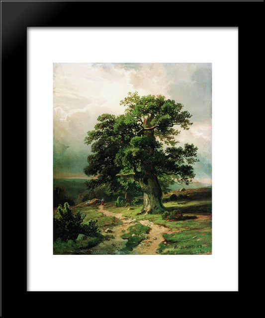 Oak 20x24 Black Modern Wood Framed Art Print Poster by Shishkin, Ivan
