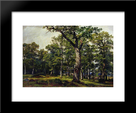 Oak Forest 20x24 Black Modern Wood Framed Art Print Poster by Shishkin, Ivan