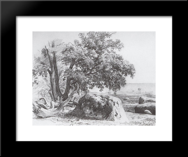 Oak On The Shore Of The Gulf Of Finland 20x24 Black Modern Wood Framed Art Print Poster by Shishkin, Ivan