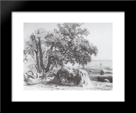 Oak On The Shore Of The Gulf Of Finland 20x24 Black Modern Wood Framed Art Print Poster by Shishkin, Ivan