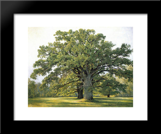 Oaks In Old Peterhof 20x24 Black Modern Wood Framed Art Print Poster by Shishkin, Ivan