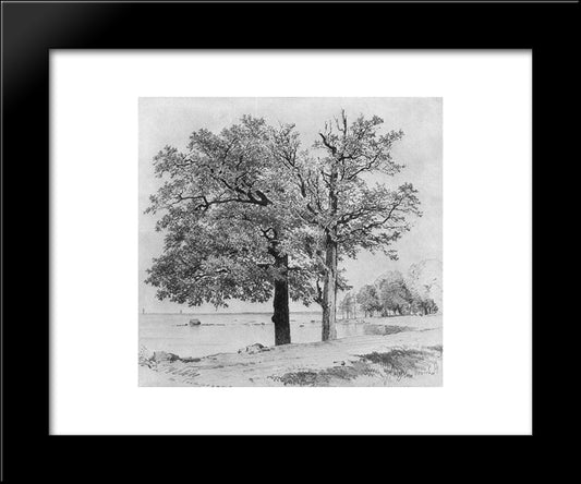 Oaks In Sestroretsk 20x24 Black Modern Wood Framed Art Print Poster by Shishkin, Ivan