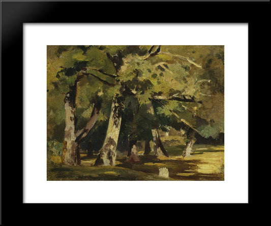 Oaks In Sunlight 20x24 Black Modern Wood Framed Art Print Poster by Shishkin, Ivan