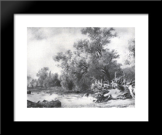 Oaks Under Sestroretsk 20x24 Black Modern Wood Framed Art Print Poster by Shishkin, Ivan