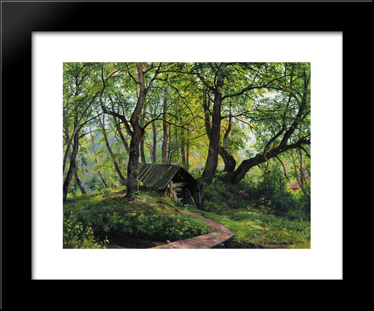 Old Lime 20x24 Black Modern Wood Framed Art Print Poster by Shishkin, Ivan