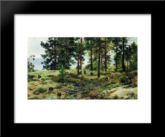 On Sandy Soil. Mary-Howie On Finnish Railways 20x24 Black Modern Wood Framed Art Print Poster by Shishkin, Ivan