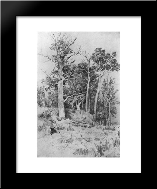 On The Seashore. Sestroreck 20x24 Black Modern Wood Framed Art Print Poster by Shishkin, Ivan