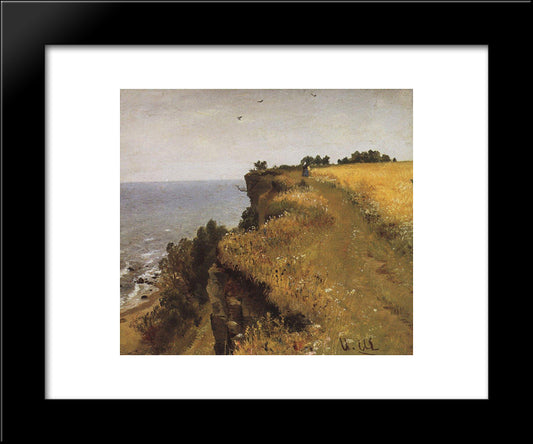 On The Shore Of The Gulf Of Finland. Udrias Near Narva 20x24 Black Modern Wood Framed Art Print Poster by Shishkin, Ivan