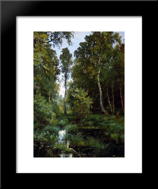 Overgrown Pond At The Edge Of The Forest. Siverskaya 20x24 Black Modern Wood Framed Art Print Poster by Shishkin, Ivan