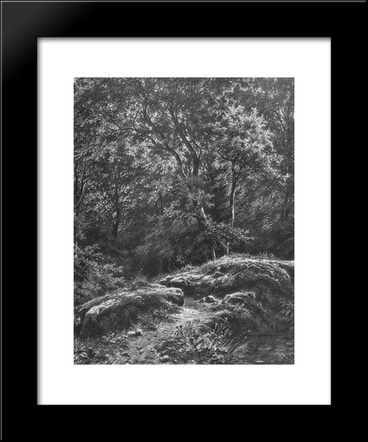 Path In The Forest 20x24 Black Modern Wood Framed Art Print Poster by Shishkin, Ivan