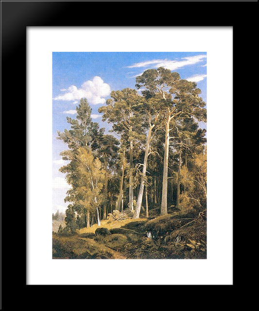 Pine Forest 20x24 Black Modern Wood Framed Art Print Poster by Shishkin, Ivan