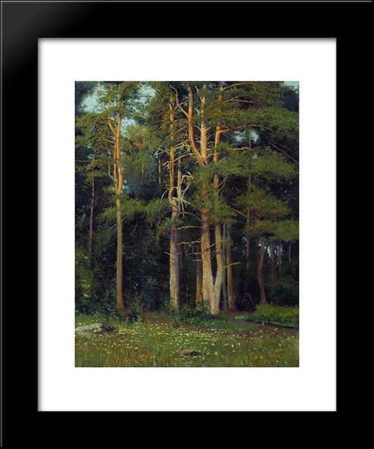 Pine Forest In Ligovo 20x24 Black Modern Wood Framed Art Print Poster by Shishkin, Ivan