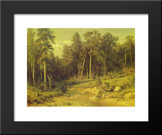 Pine Forest In Viatka Province 20x24 Black Modern Wood Framed Art Print Poster by Shishkin, Ivan