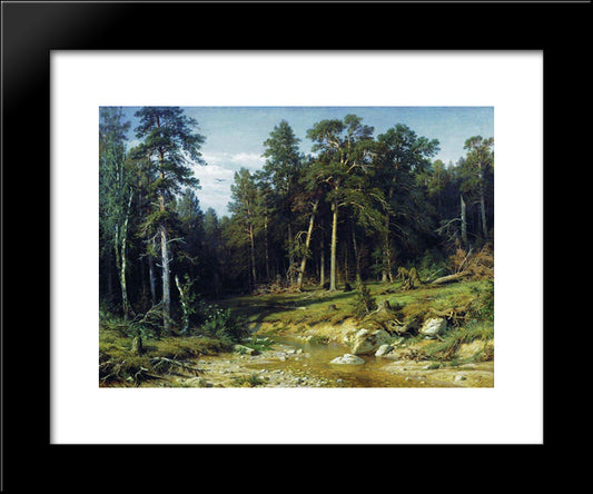 Pine Forest In Vyatka Province 20x24 Black Modern Wood Framed Art Print Poster by Shishkin, Ivan