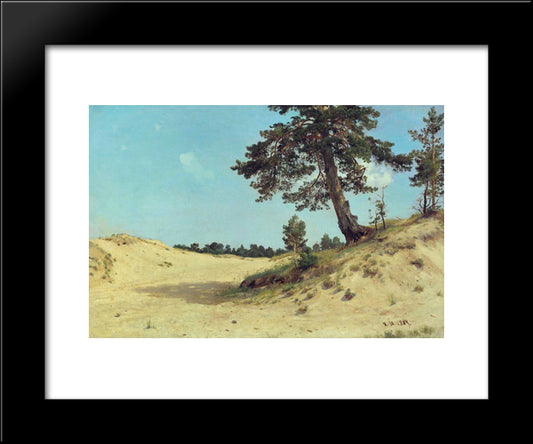 Pine On Sand 20x24 Black Modern Wood Framed Art Print Poster by Shishkin, Ivan