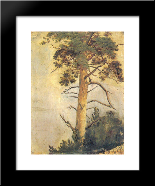 Pine On The Cliff 20x24 Black Modern Wood Framed Art Print Poster by Shishkin, Ivan