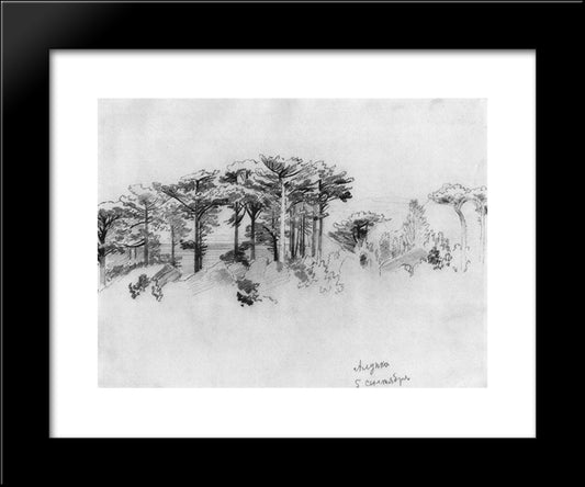 Pine Trees Over The Sea. Alupka 20x24 Black Modern Wood Framed Art Print Poster by Shishkin, Ivan