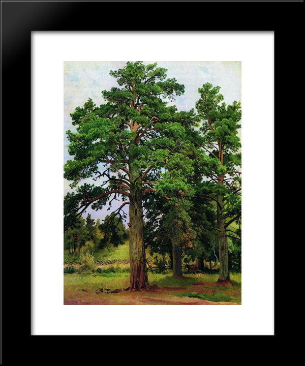 Pine Without The Sun. Mary-Howe 20x24 Black Modern Wood Framed Art Print Poster by Shishkin, Ivan