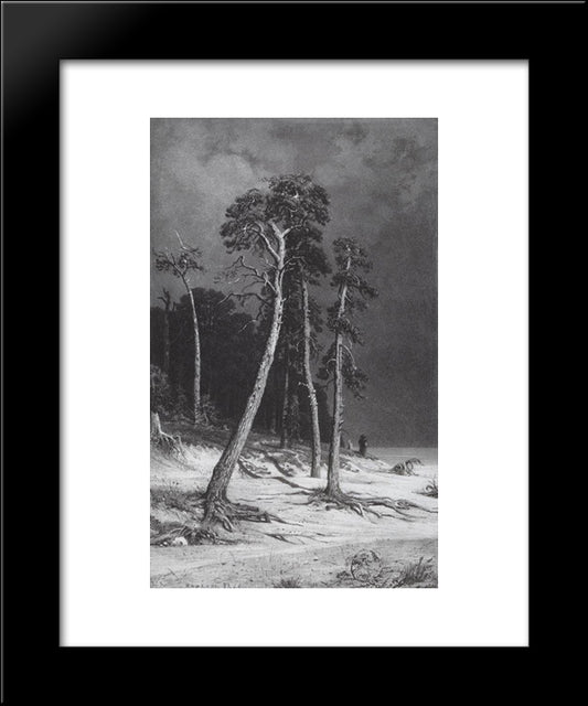 Pines 20x24 Black Modern Wood Framed Art Print Poster by Shishkin, Ivan