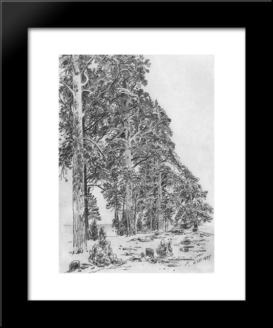 Pines On The Beach 20x24 Black Modern Wood Framed Art Print Poster by Shishkin, Ivan