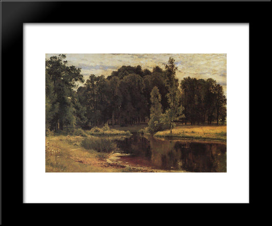 Pond In A Old Park 20x24 Black Modern Wood Framed Art Print Poster by Shishkin, Ivan