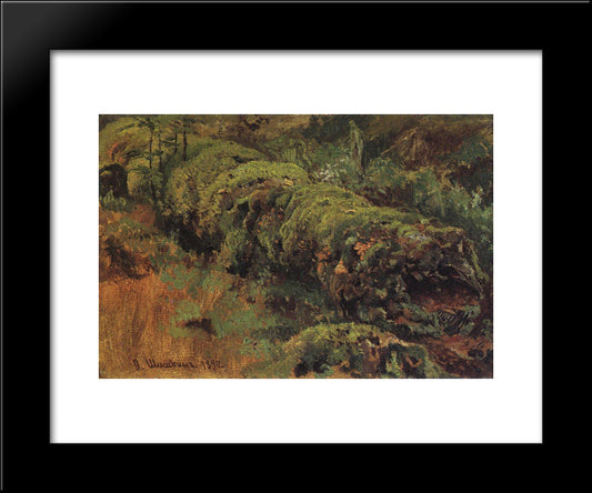 Rotten Wood, Covered With Moss 20x24 Black Modern Wood Framed Art Print Poster by Shishkin, Ivan