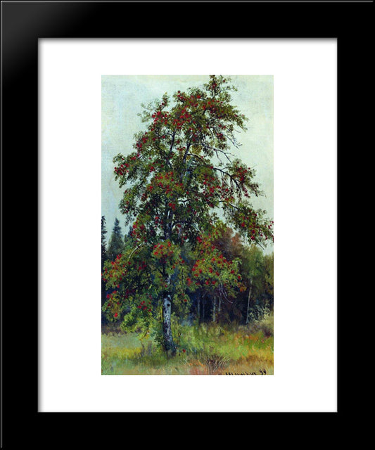 Rowan 20x24 Black Modern Wood Framed Art Print Poster by Shishkin, Ivan