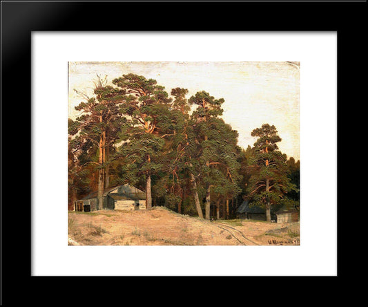 Sandy Road 20x24 Black Modern Wood Framed Art Print Poster by Shishkin, Ivan