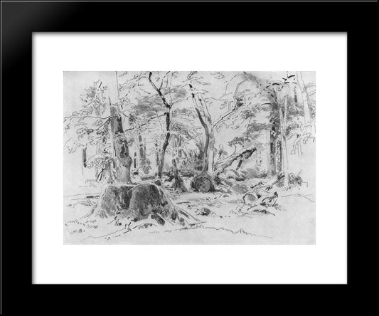 Sawn Tree 20x24 Black Modern Wood Framed Art Print Poster by Shishkin, Ivan