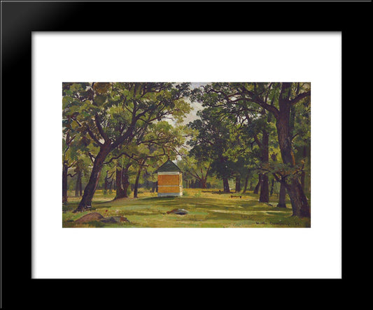 Sestroreck 20x24 Black Modern Wood Framed Art Print Poster by Shishkin, Ivan