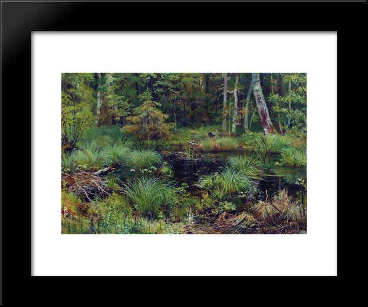 Spring In The Forest 20x24 Black Modern Wood Framed Art Print Poster by Shishkin, Ivan