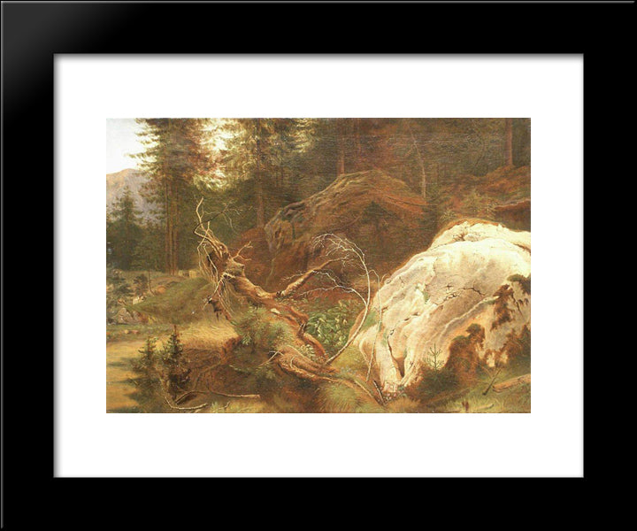 Stones In The A Forest 20x24 Black Modern Wood Framed Art Print Poster by Shishkin, Ivan