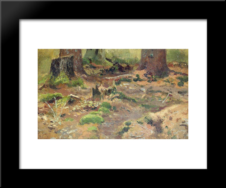 Study. Forest 20x24 Black Modern Wood Framed Art Print Poster by Shishkin, Ivan