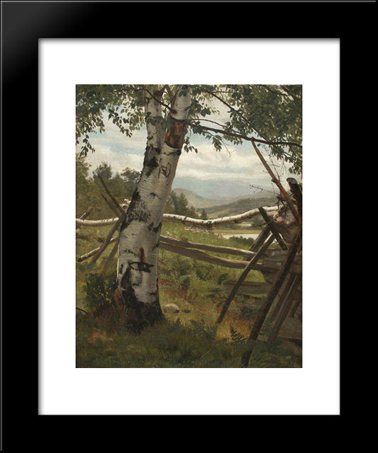 Summer Landscape With Birch 20x24 Black Modern Wood Framed Art Print Poster by Shishkin, Ivan