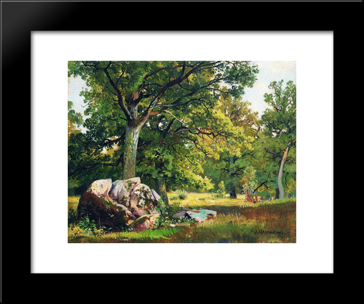 Sunny Day In The Woods. Oaks 20x24 Black Modern Wood Framed Art Print Poster by Shishkin, Ivan