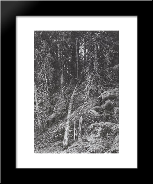 Taiga 20x24 Black Modern Wood Framed Art Print Poster by Shishkin, Ivan