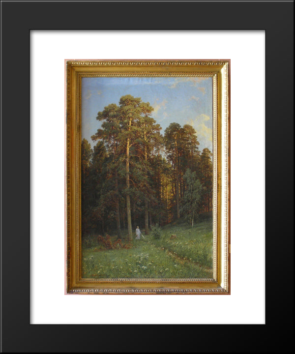 The Edge Of A Pine Forest 20x24 Black Modern Wood Framed Art Print Poster by Shishkin, Ivan