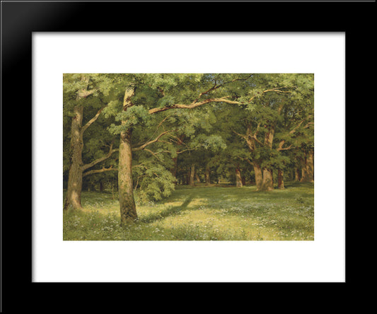 The Forest Clearing 20x24 Black Modern Wood Framed Art Print Poster by Shishkin, Ivan