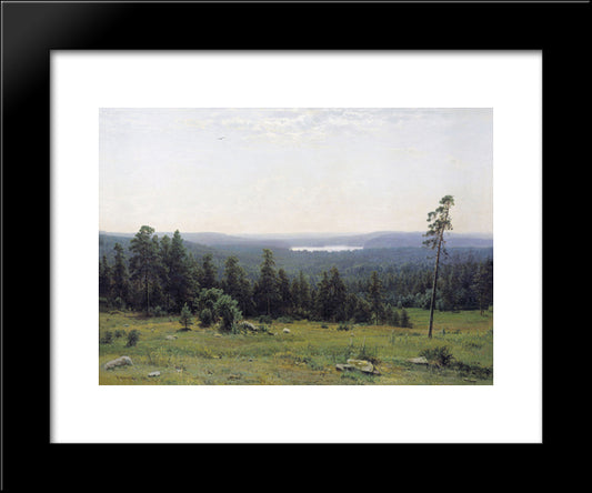 The Forest Horizons 20x24 Black Modern Wood Framed Art Print Poster by Shishkin, Ivan