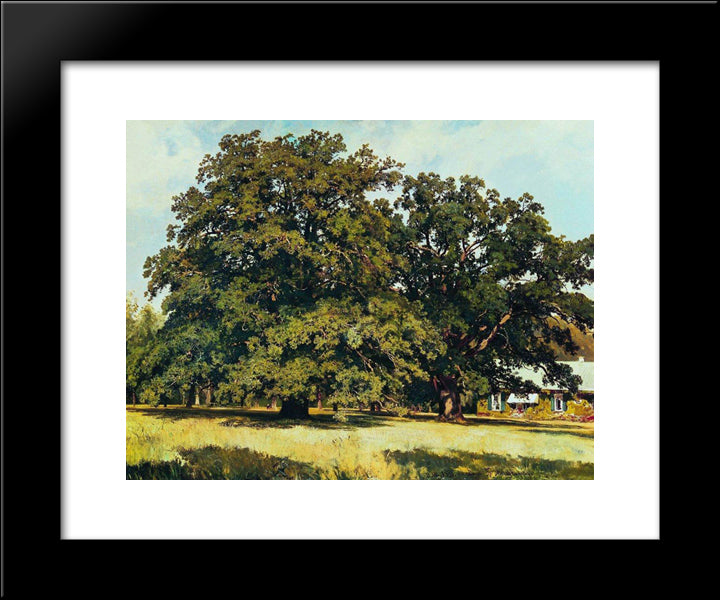 The Mordvinovo Oaks 20x24 Black Modern Wood Framed Art Print Poster by Shishkin, Ivan