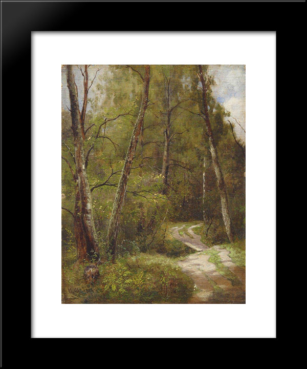 The Path In The Forest 20x24 Black Modern Wood Framed Art Print Poster by Shishkin, Ivan