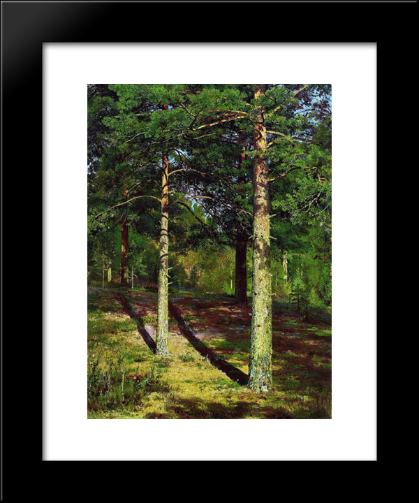 The Sun Lit Pines 20x24 Black Modern Wood Framed Art Print Poster by Shishkin, Ivan